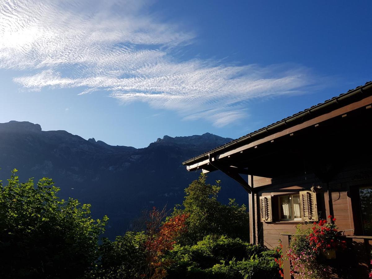 Ferienwohnung Selinda Niederried bei Interlaken Ngoại thất bức ảnh