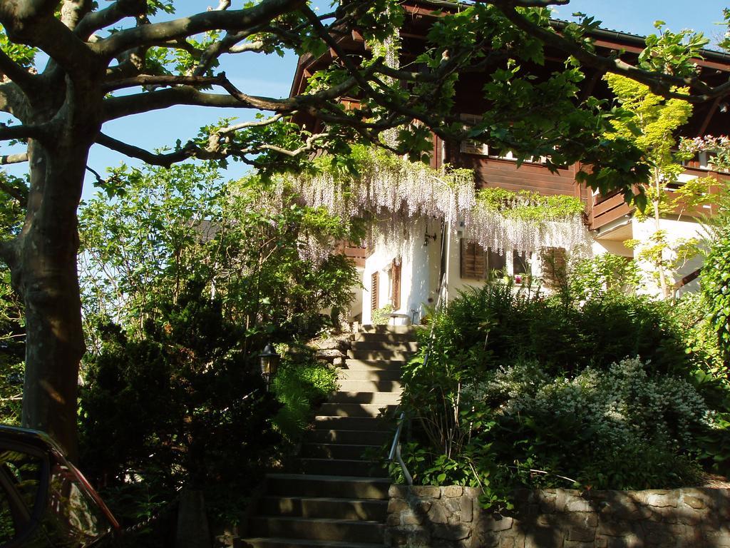Ferienwohnung Selinda Niederried bei Interlaken Ngoại thất bức ảnh